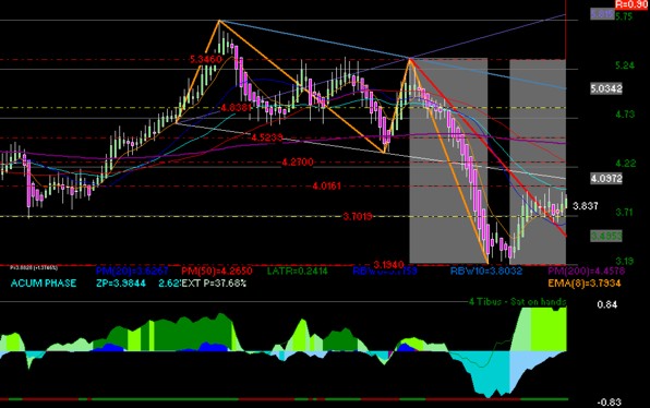 gr�fica t�cnica de bachoco