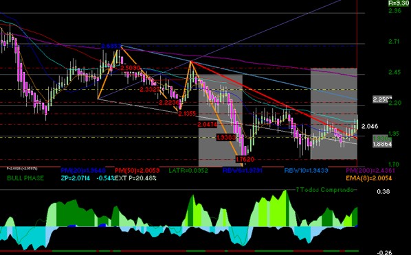 gr�fica t�cnica de bimbo