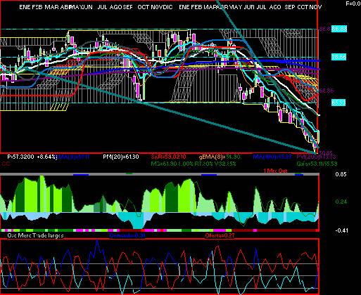 gr�fica t�cnica de walmex.*